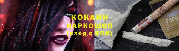 spice Алексин